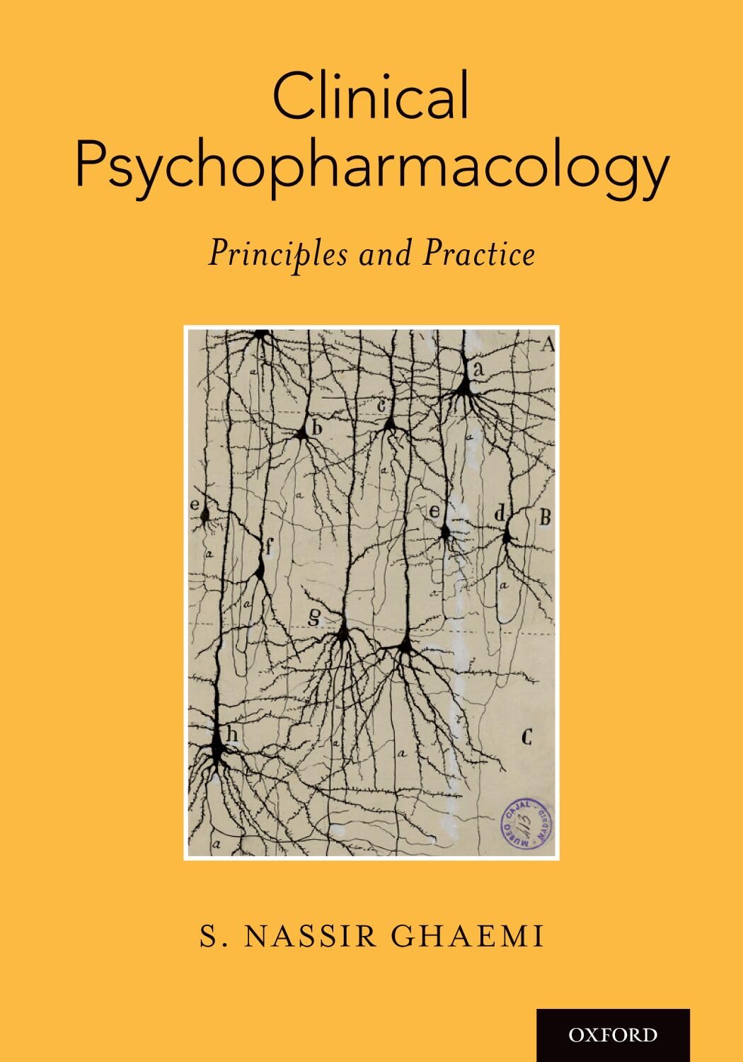 Clinical Psychopharmacology: Principles and Practice (Paperback)