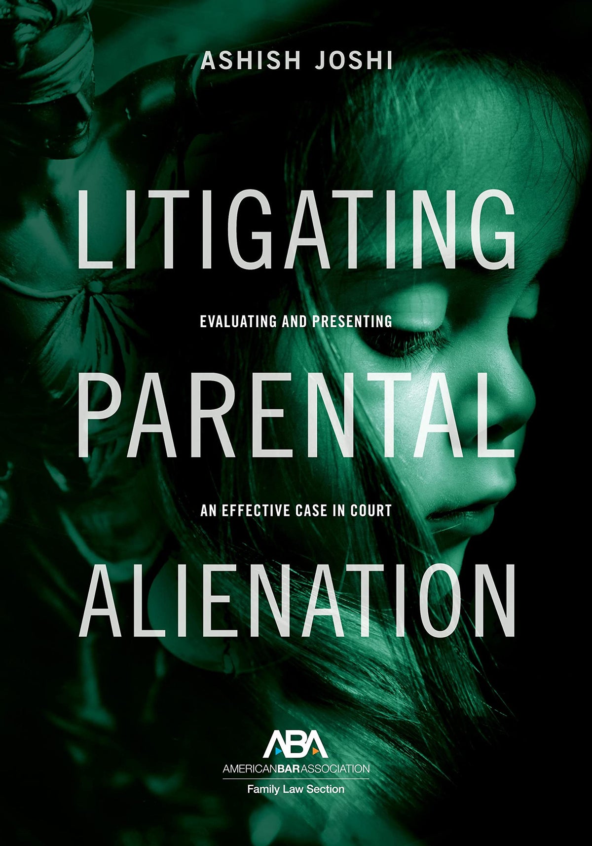 Litigating Parental Alienation: Evaluating and Presenting an Effective Case in Court (Paperback)