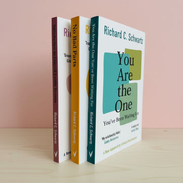 Richard Schwartz 3 Books Collection Set (No Bad Parts, Introduction to Internal Family Systems & You Are the One You’ve Been Waiting For)