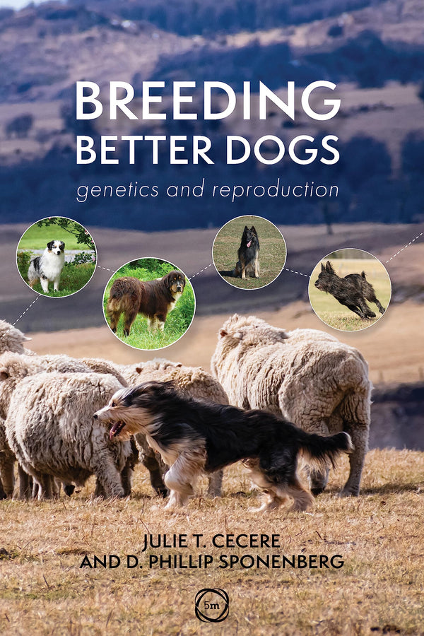 Breeding Better Dogs: Canine Breeding Management (Animal Breeding) Sponenberg PhD, D. Phillip and Cecere DVM, Julie T.