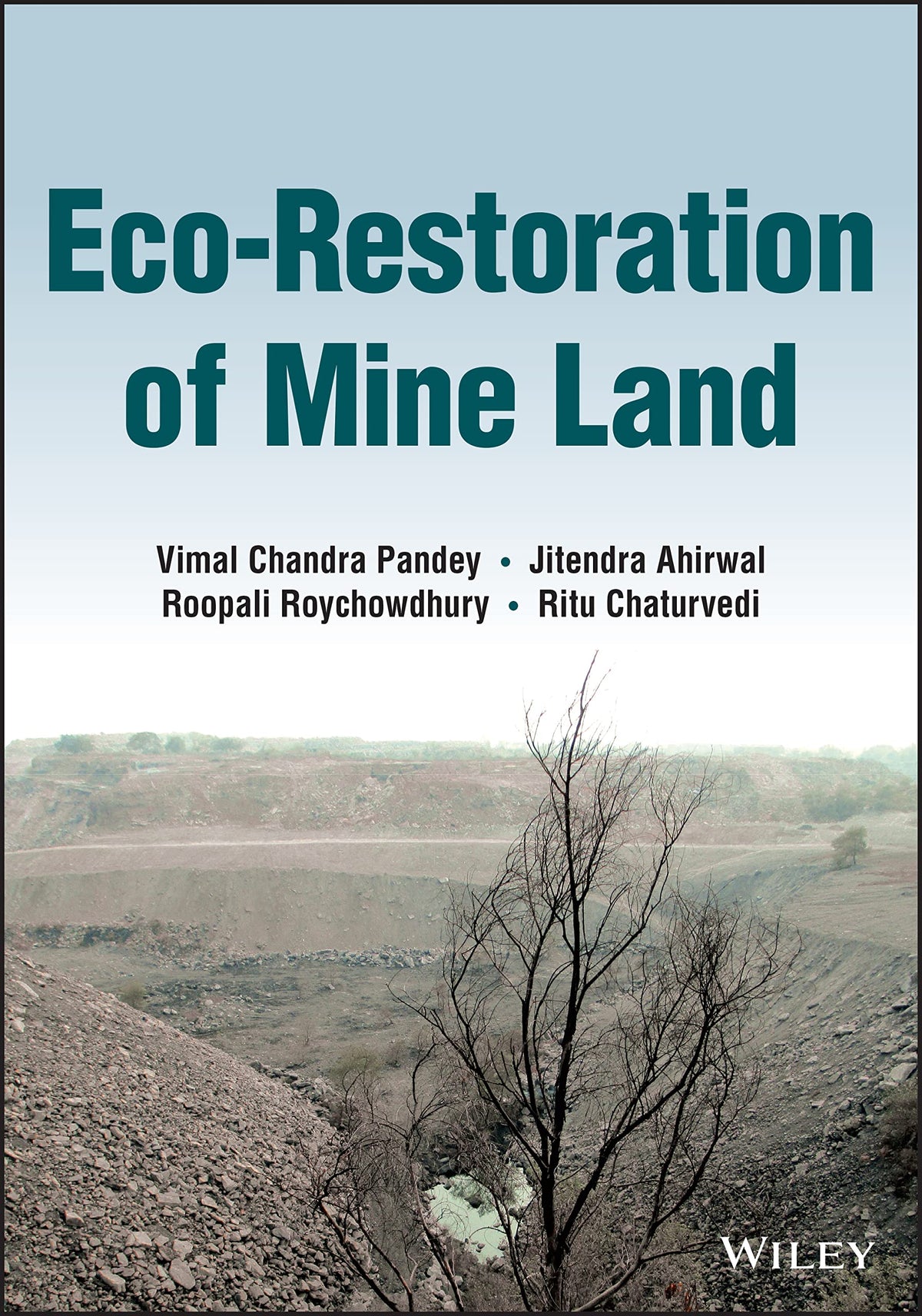 Eco-Restoration of Mine Land (Hardcover)