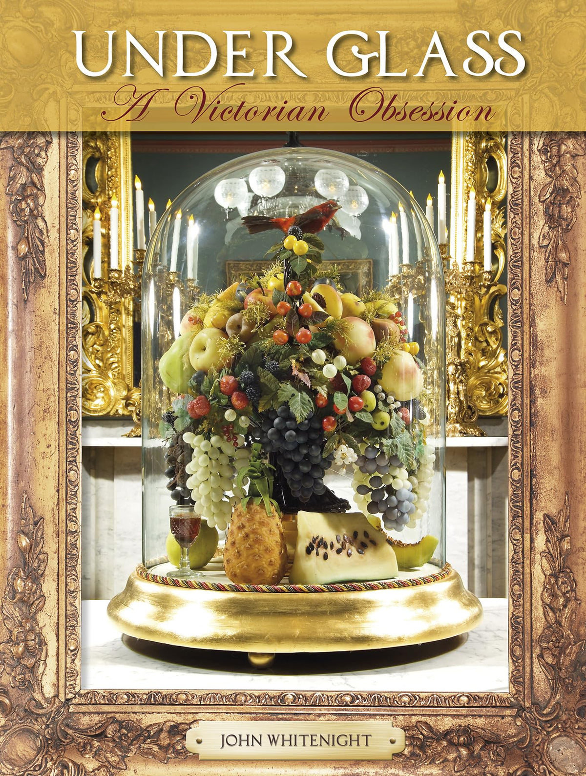 Under Glass: A Victorian Obsession (Hardcover)