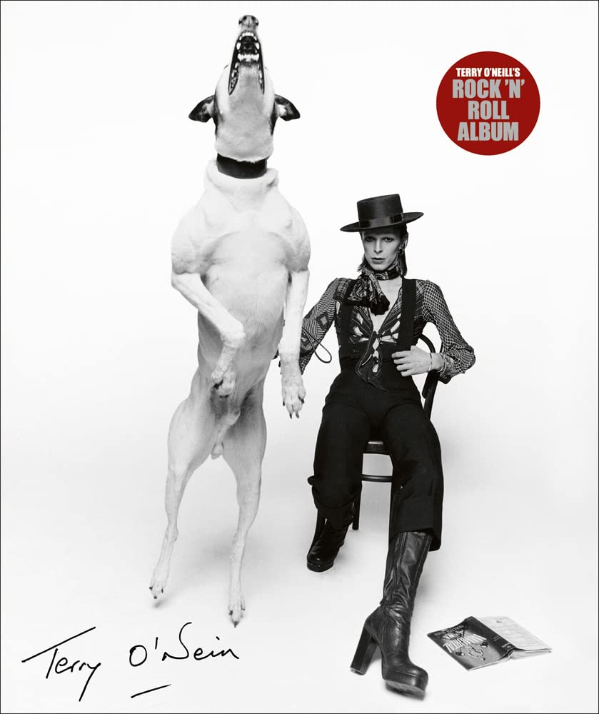 Terry O'Neill's Rock 'n' Roll Album [Hardcover] O'Neill CBE, Terry