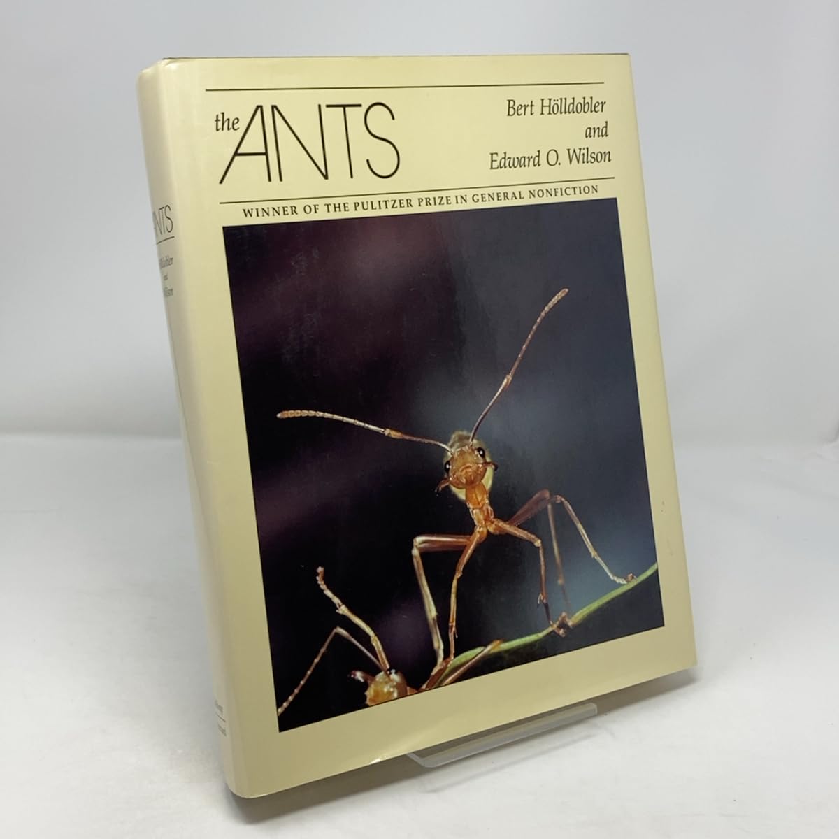 The Ants (Hardcover)