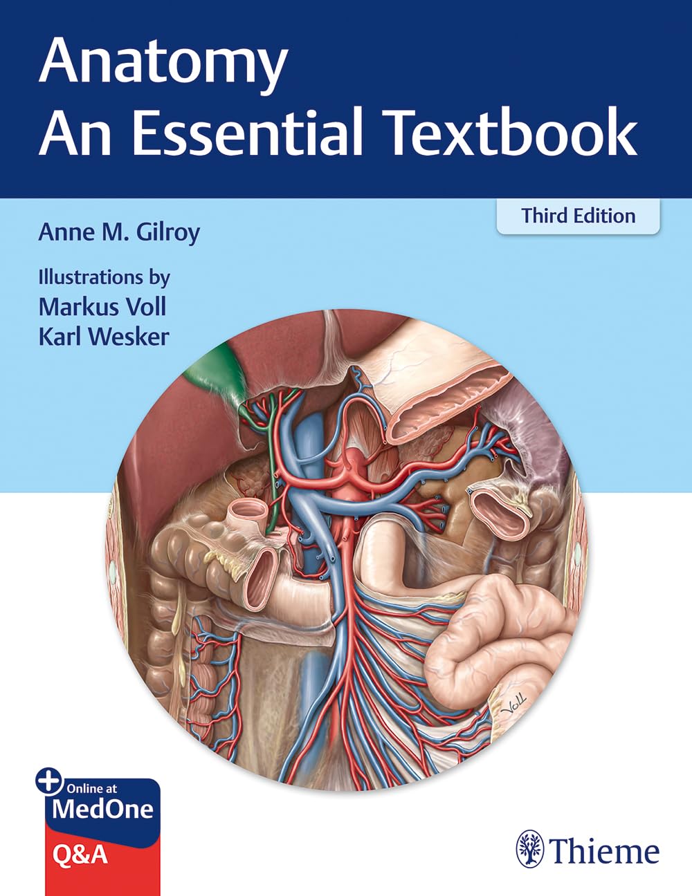 Anatomy - An Essential Textbook (Thieme Illustrated Reviews) [Paperback] Gilroy, Anne M; Voll, Markus and Wesker, Karl H.