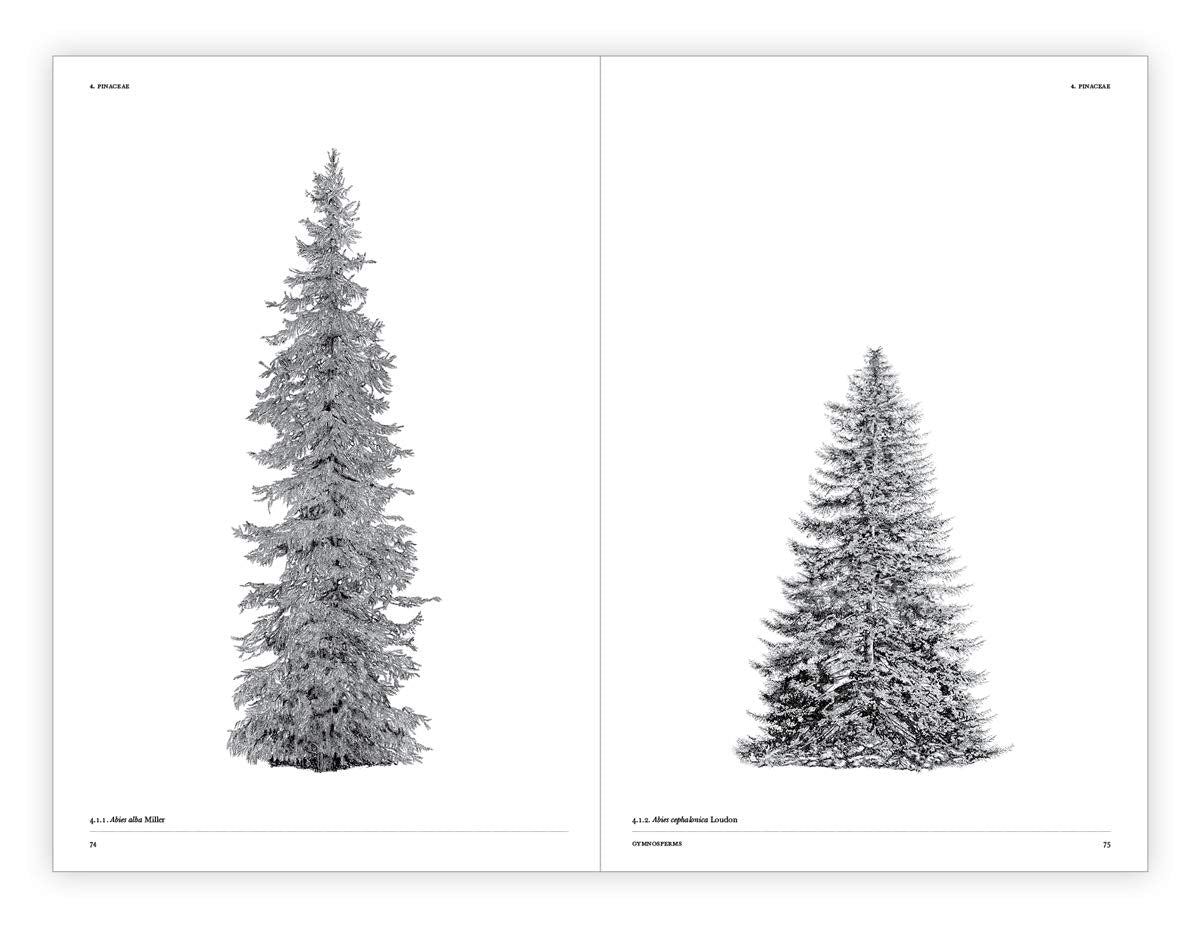 The Architecture of Trees (Hardcover) — additional view