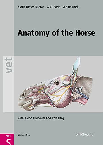 Anatomy of the Horse, (Hardcover)