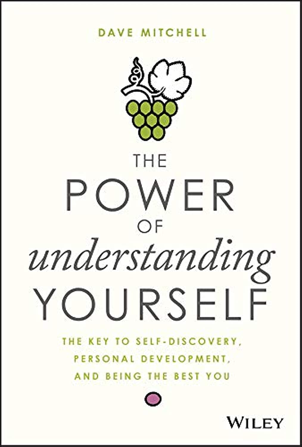 The Power of Understanding Yourself: The Key to Self-Discovery, Personal Development, and Being the Best You [Hardcover] Mitchell, Dave