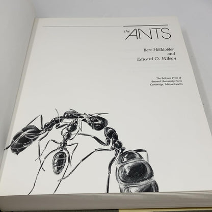 The Ants (Hardcover) — additional view