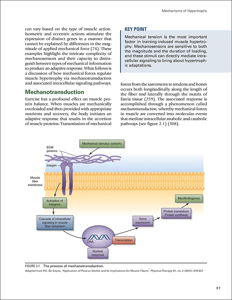 Science and Development of Muscle Hypertrophy — Second Edition (Hardcover) — additional view