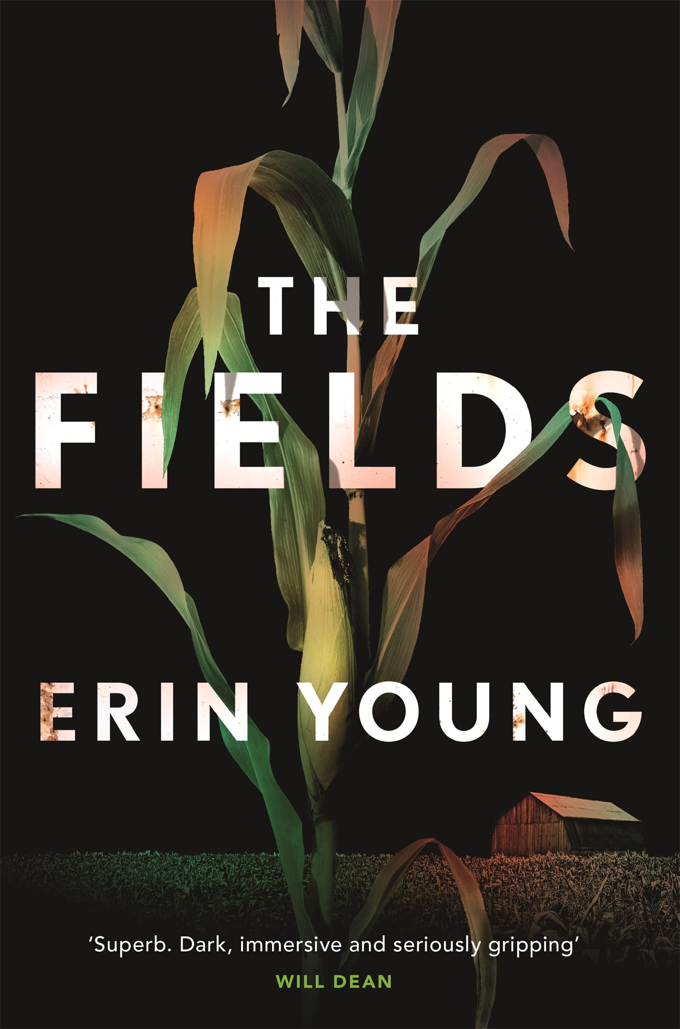 The Fields: Dark, immersive and seriously gripping [Hardcover] Young, Erin