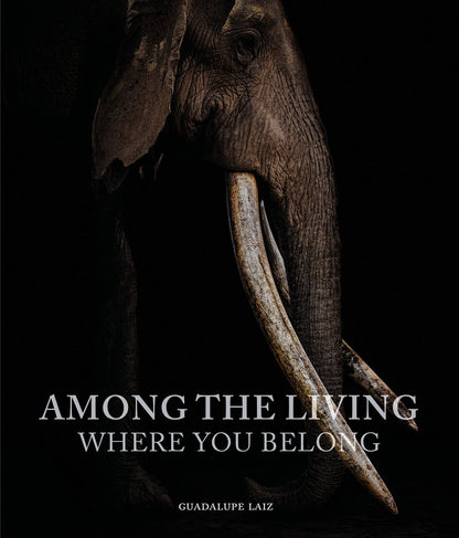 Among the Living: Where You Belong [Hardcover] Laiz, Guadalupe and Skolnick, Adam