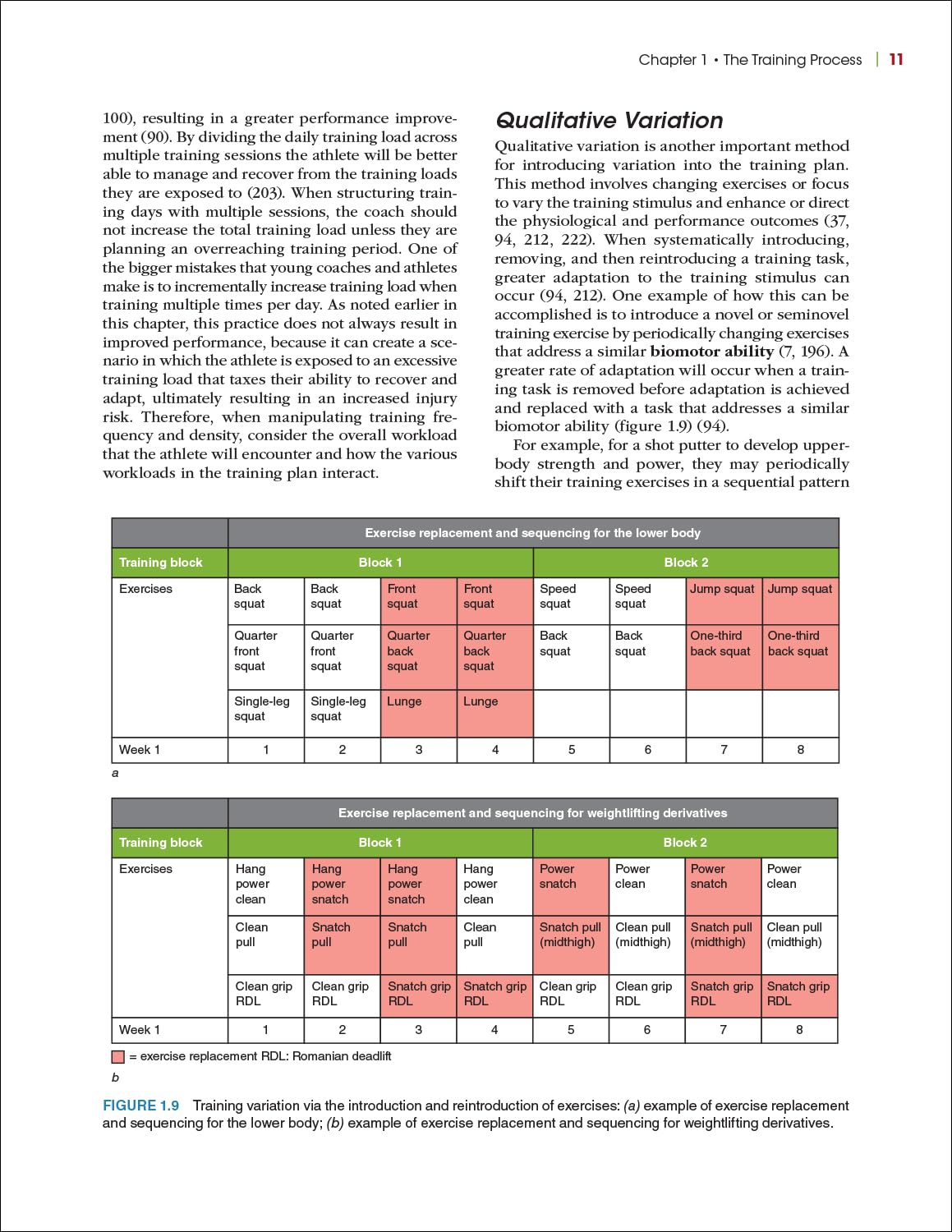 Scientific Foundations and Practical Applications of Periodization (Paperback) — additional view