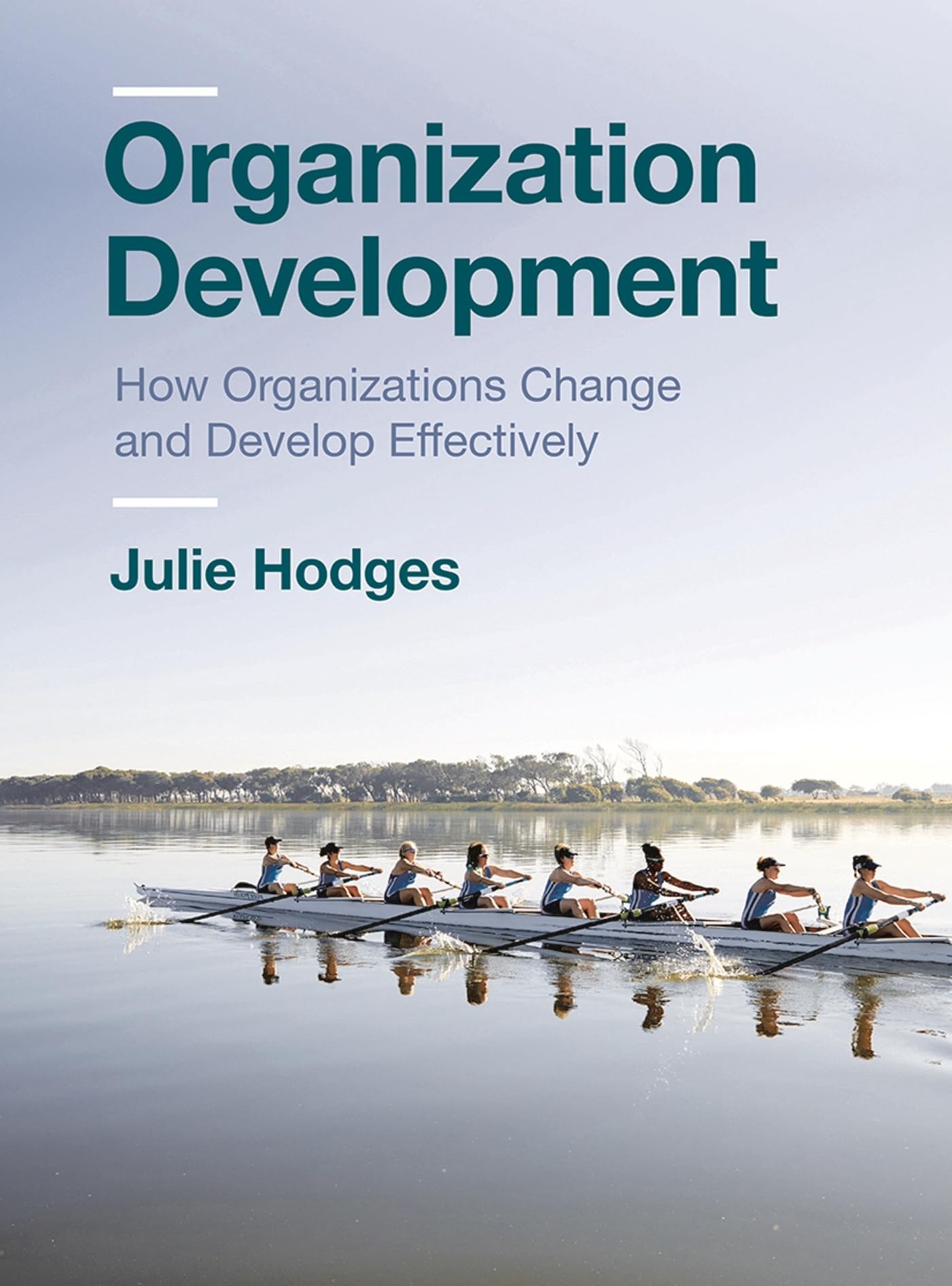 Organization Development: How Organizations Change and Develop Effectively [Paperback] Hodges, Julie