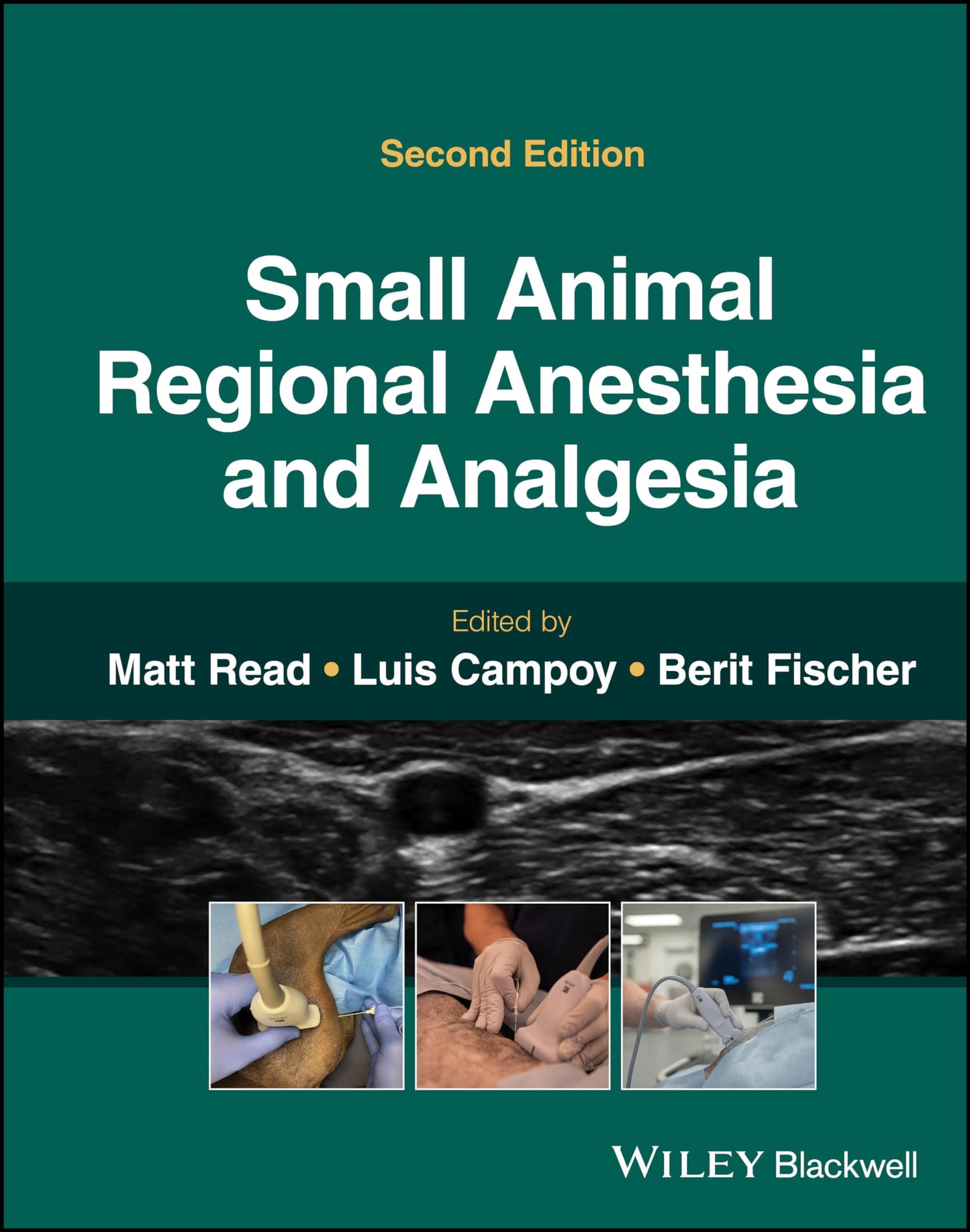 Small Animal Regional Anesthesia and Analgesia [Hardcover] Read, Matt R.; Campoy, Luis and Fischer, Berit
