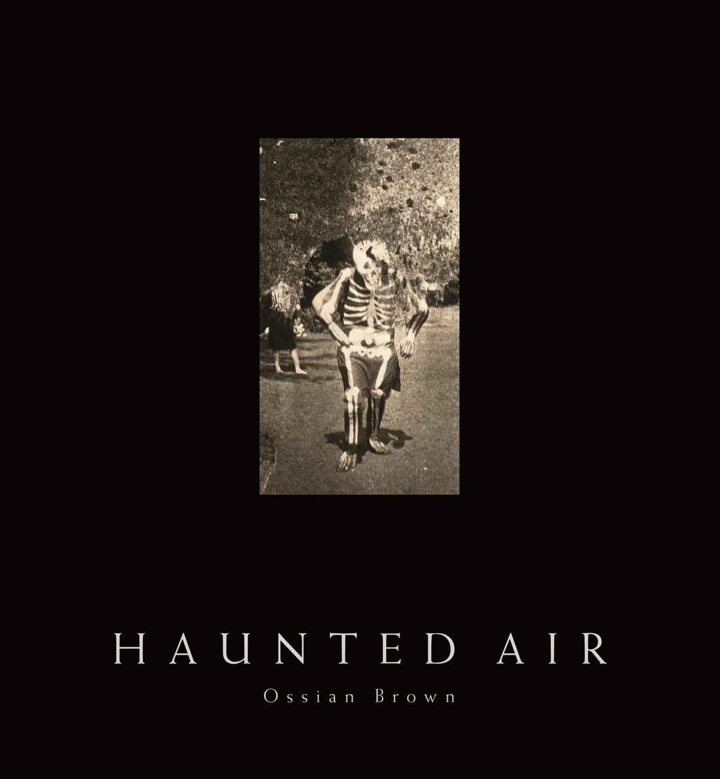 Haunted Air [Hardcover] Brown, Ossian; Lynch, David and Cox, Geoff