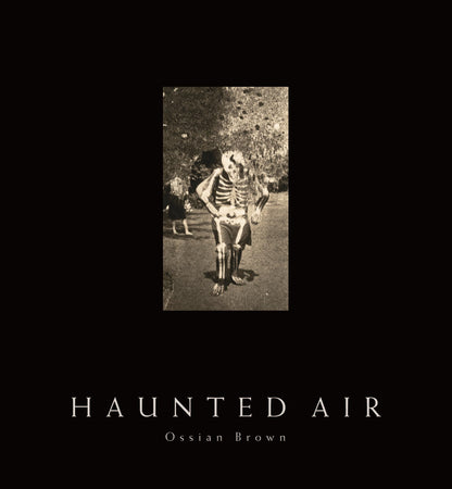 Haunted Air [Hardcover] Brown, Ossian; Lynch, David and Cox, Geoff