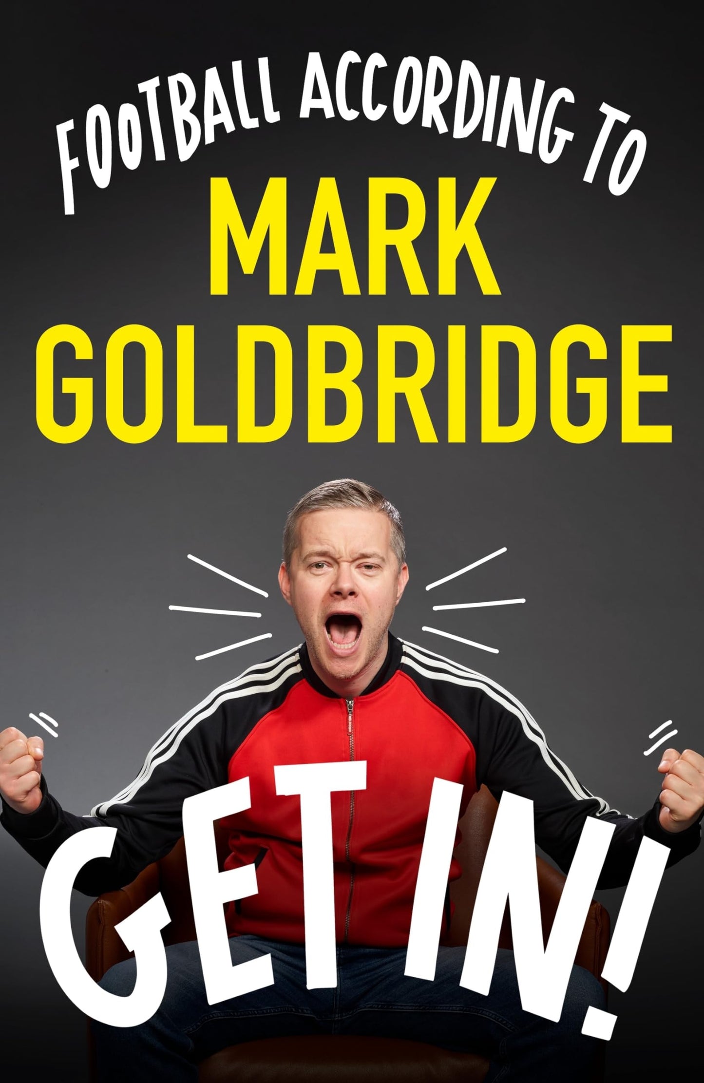 A Football Fan’s Survival Guide [Hardcover] Goldbridge, Mark