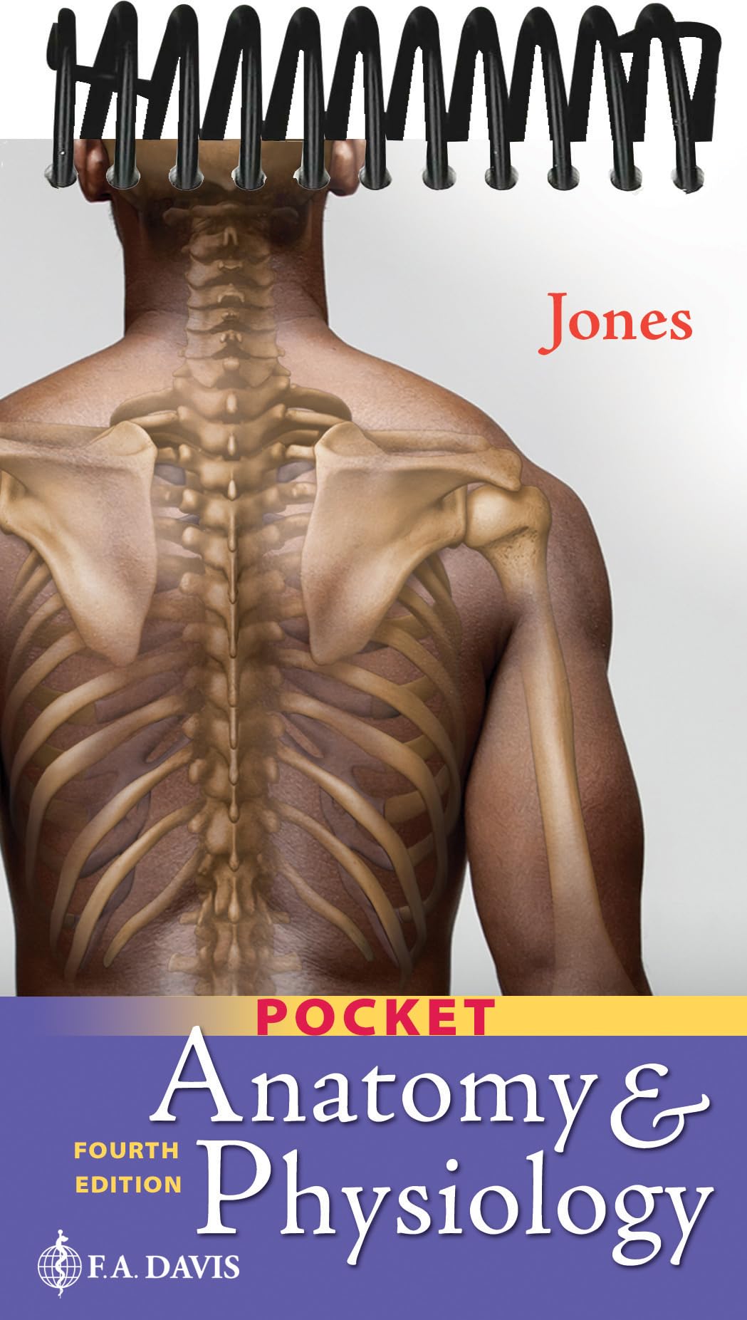 Pocket Anatomy & Physiology [Spiral-bound] Jones, Shirley A.