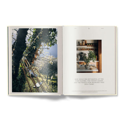 A Spoonful of Sun: Mediterranean Cookbook for All Seasons — Updated Edition (Hardcover) — additional view