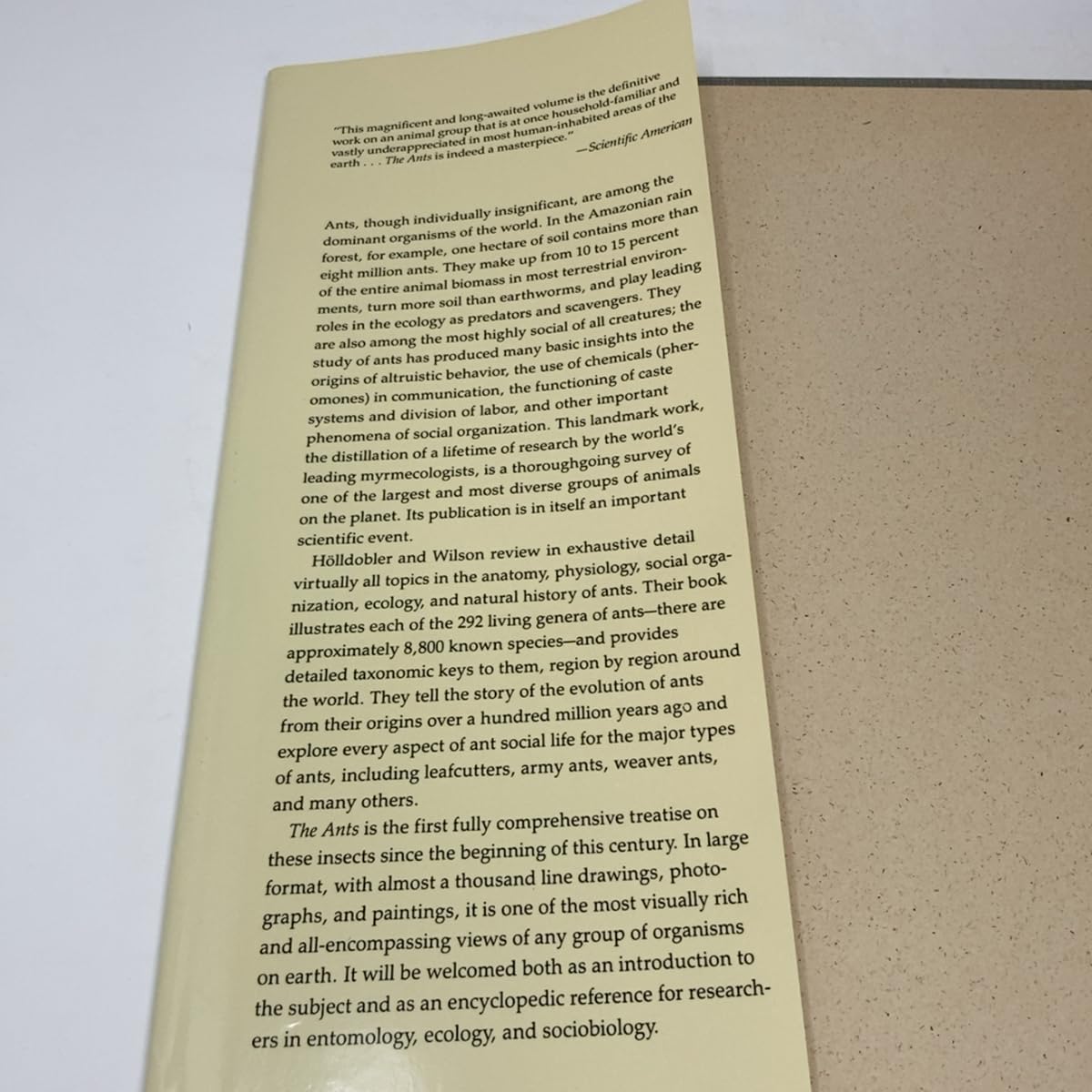 The Ants (Hardcover) — additional view