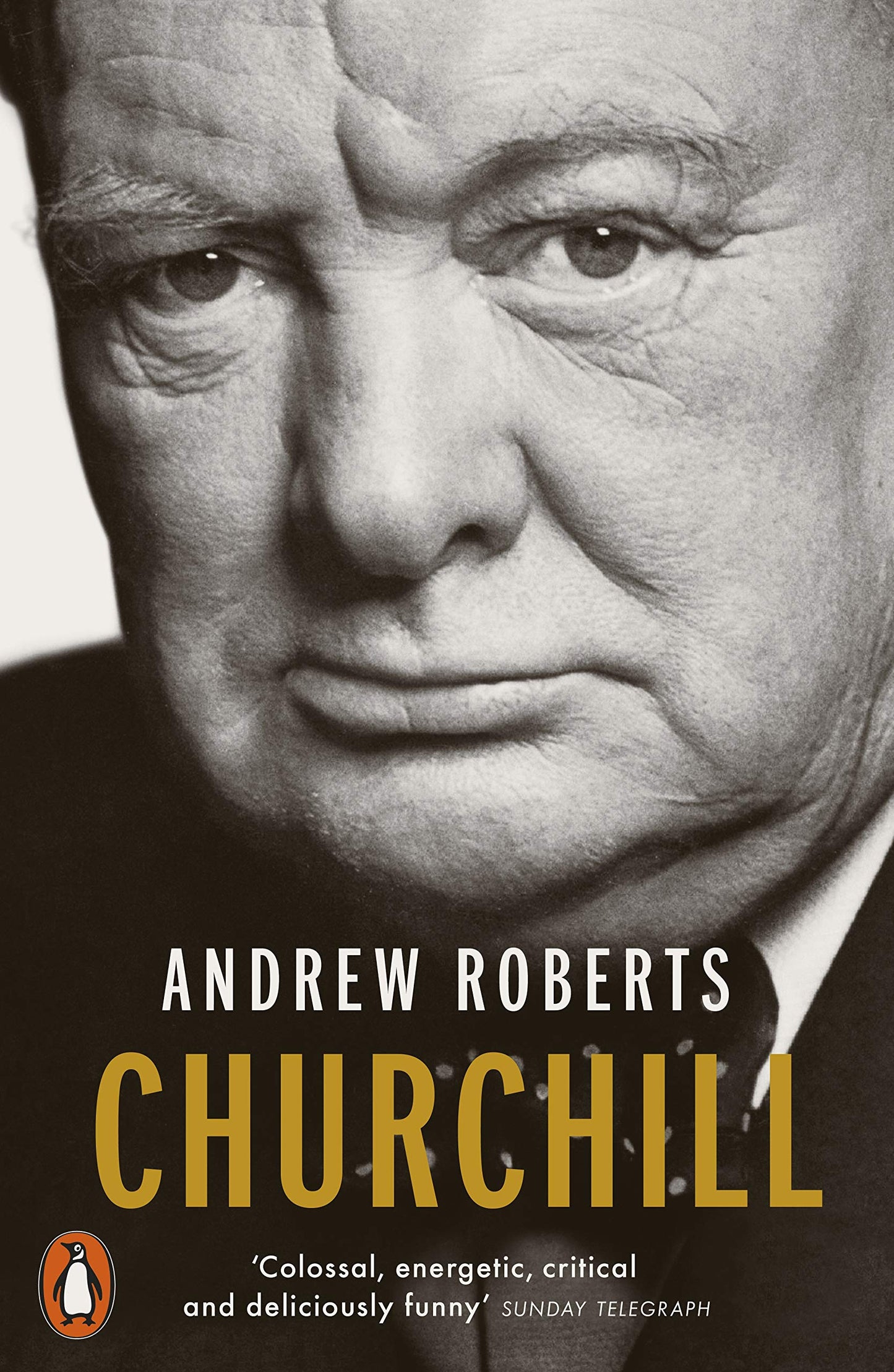 Churchill - Walking With Destiny /anglais ROBERTS ANDREW