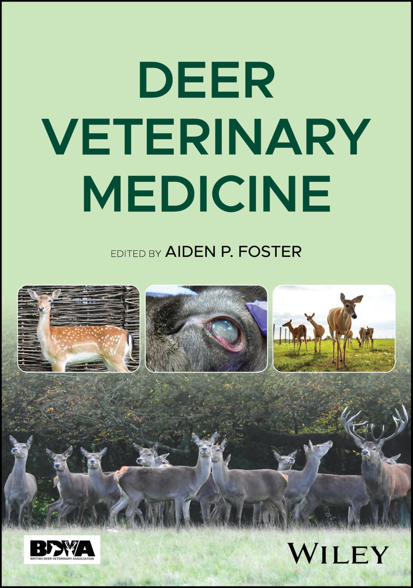 Deer Veterinary Medicine [Paperback] Foster, Aiden P.