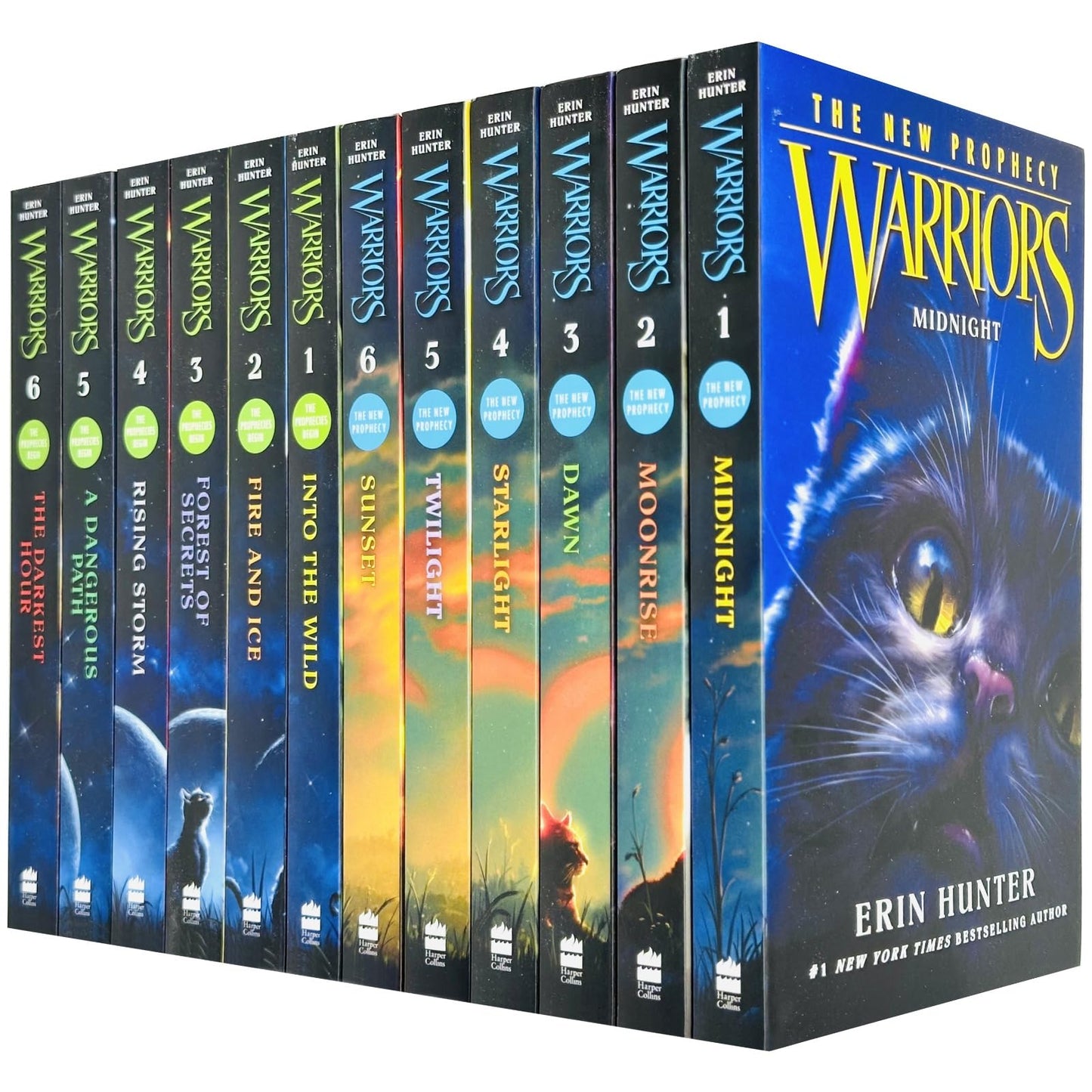 Warrior Cats Volume 1 to 12 Books Collection Set (The Complete First Series (Warriors: The Prophecies Begin Volume 1 to 6) & The Complete Second Series (Warriors: The New Prophecy Volume 7 to 12) [Paperback] Erin Hunter