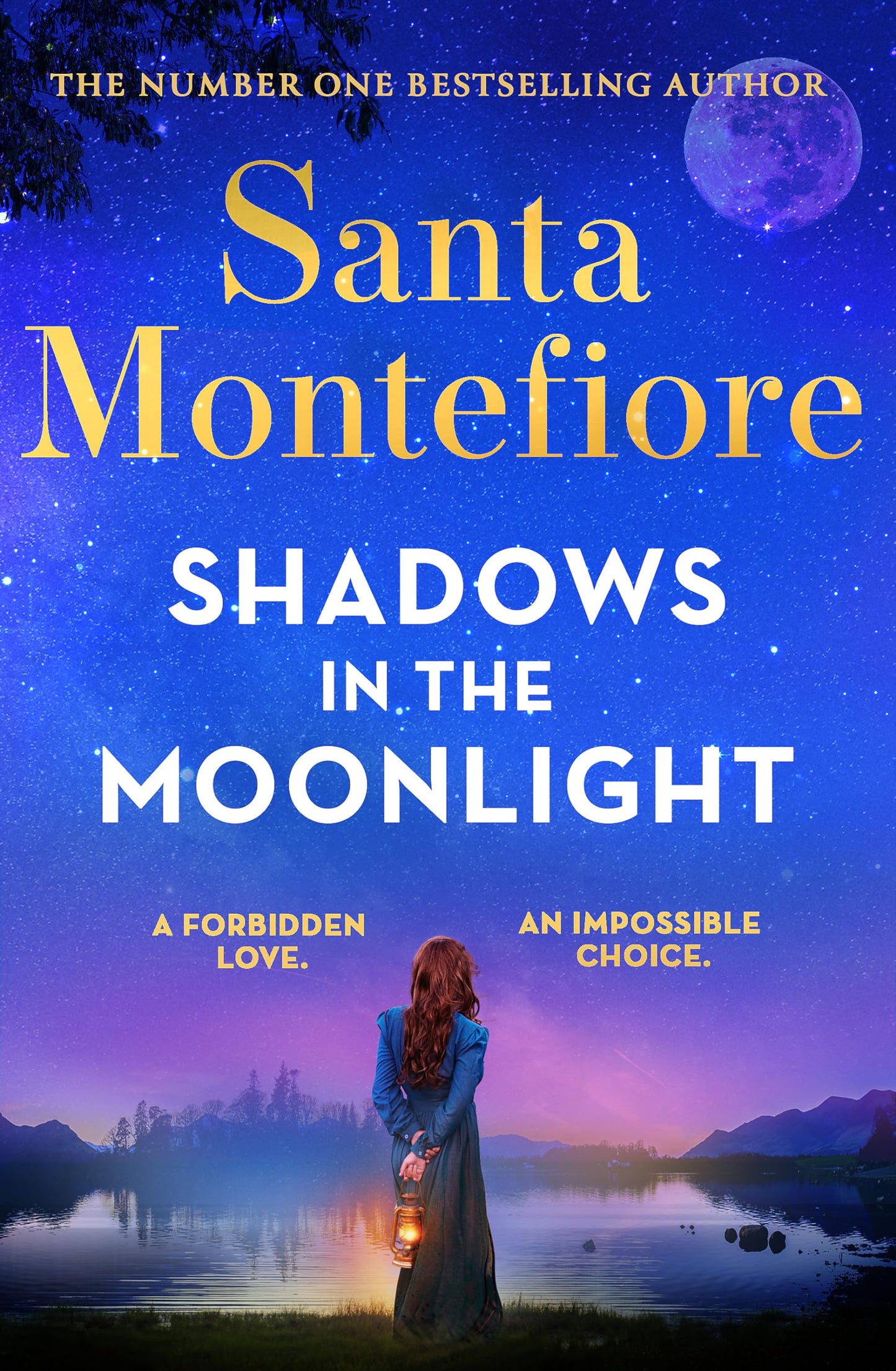 Shadows in the Moonlight [Paperback] Santa Montefiore