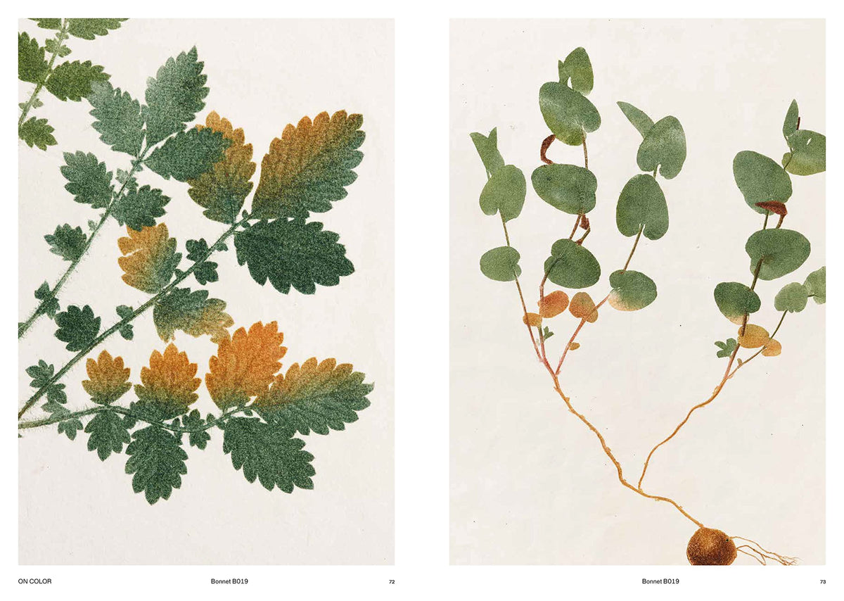 Capturing Nature: 150 Years of Nature Printing (Hardcover) — additional view