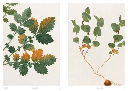 Capturing Nature: 150 Years of Nature Printing (Hardcover) — additional view