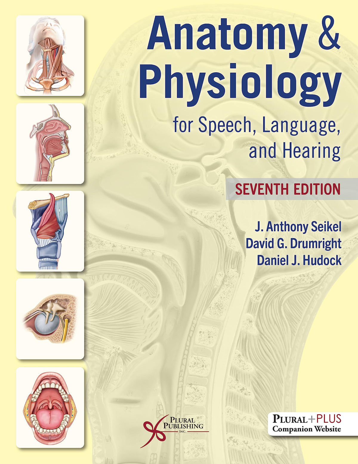 Anatomy & Physiology for Speech, Language, and Hearing — Seventh Edition (Hardcover)