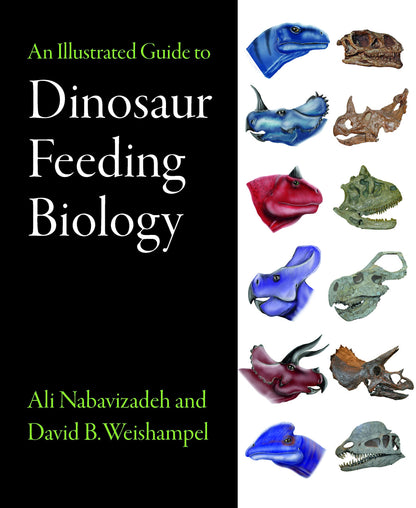 An Illustrated Guide to Dinosaur Feeding Biology [Hardcover] Nabavizadeh, Ali and Weishampel, David B.