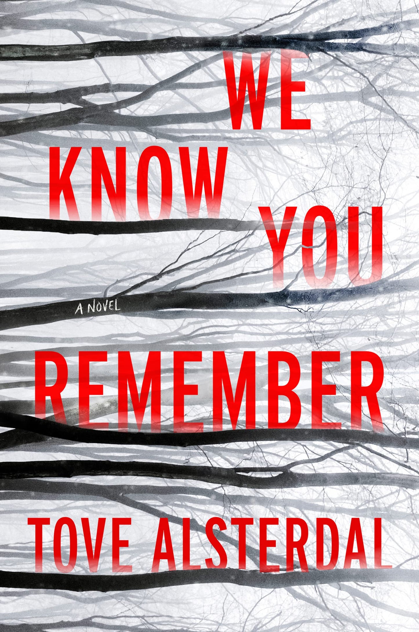 We Know You Remember: A Haunting Nordic Noir of Buried Secrets, Old Crimes, and a Town That Never Forgets – The High Coast Series Book 1 [Paperback] Alsterdal, Tove