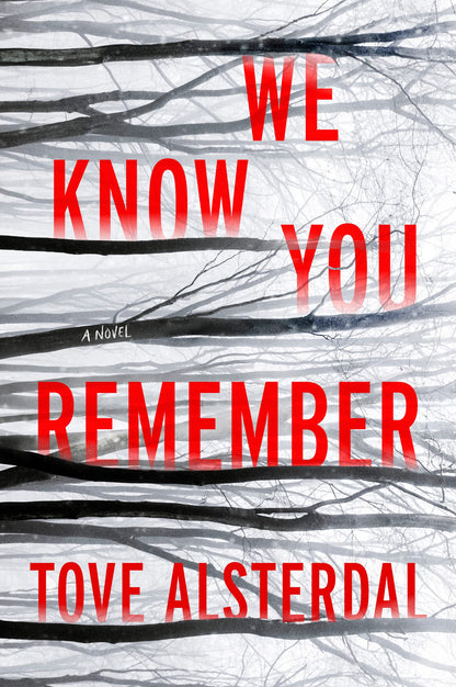 We Know You Remember: A Haunting Nordic Noir of Buried Secrets, Old Crimes, and a Town That Never Forgets – The High Coast Series Book 1 [Paperback] Alsterdal, Tove