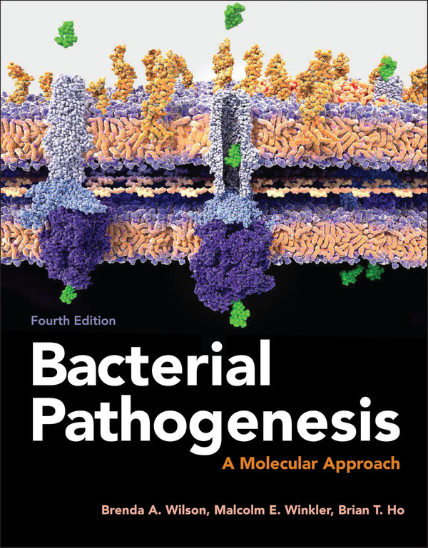 Bacterial Pathogenesis: A Molecular Approach — Fourth Edition (Paperback)
