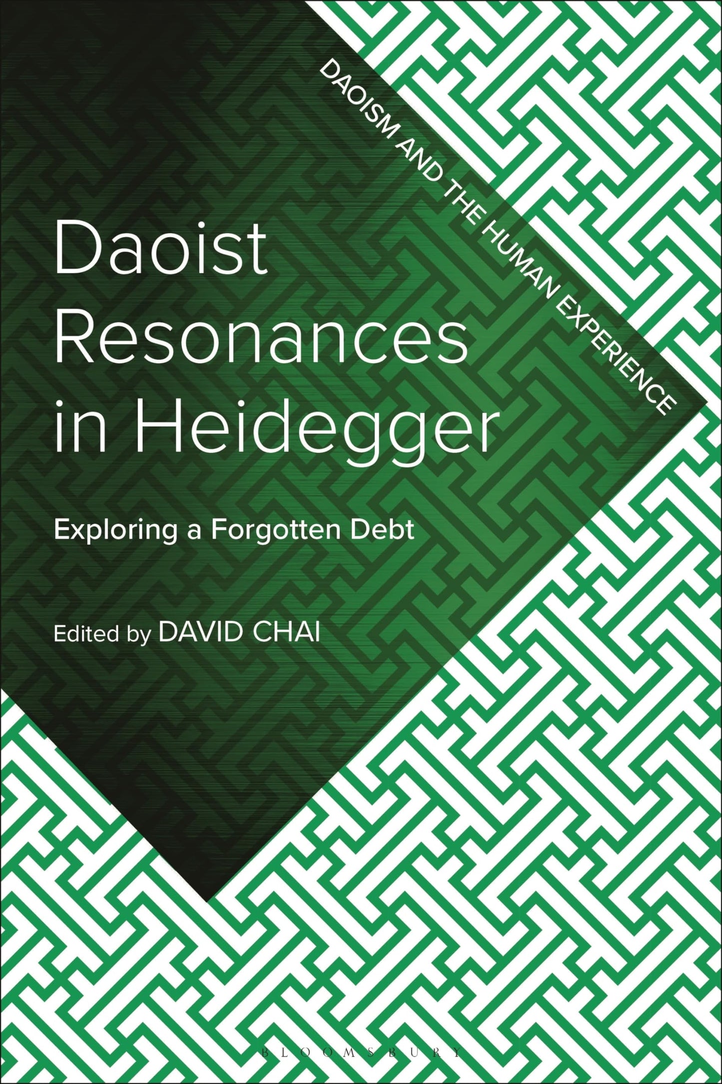 Daoist Resonances in Heidegger: Exploring a Forgotten Debt (Daoism and the Human Experience) [Paperback] Chai, David