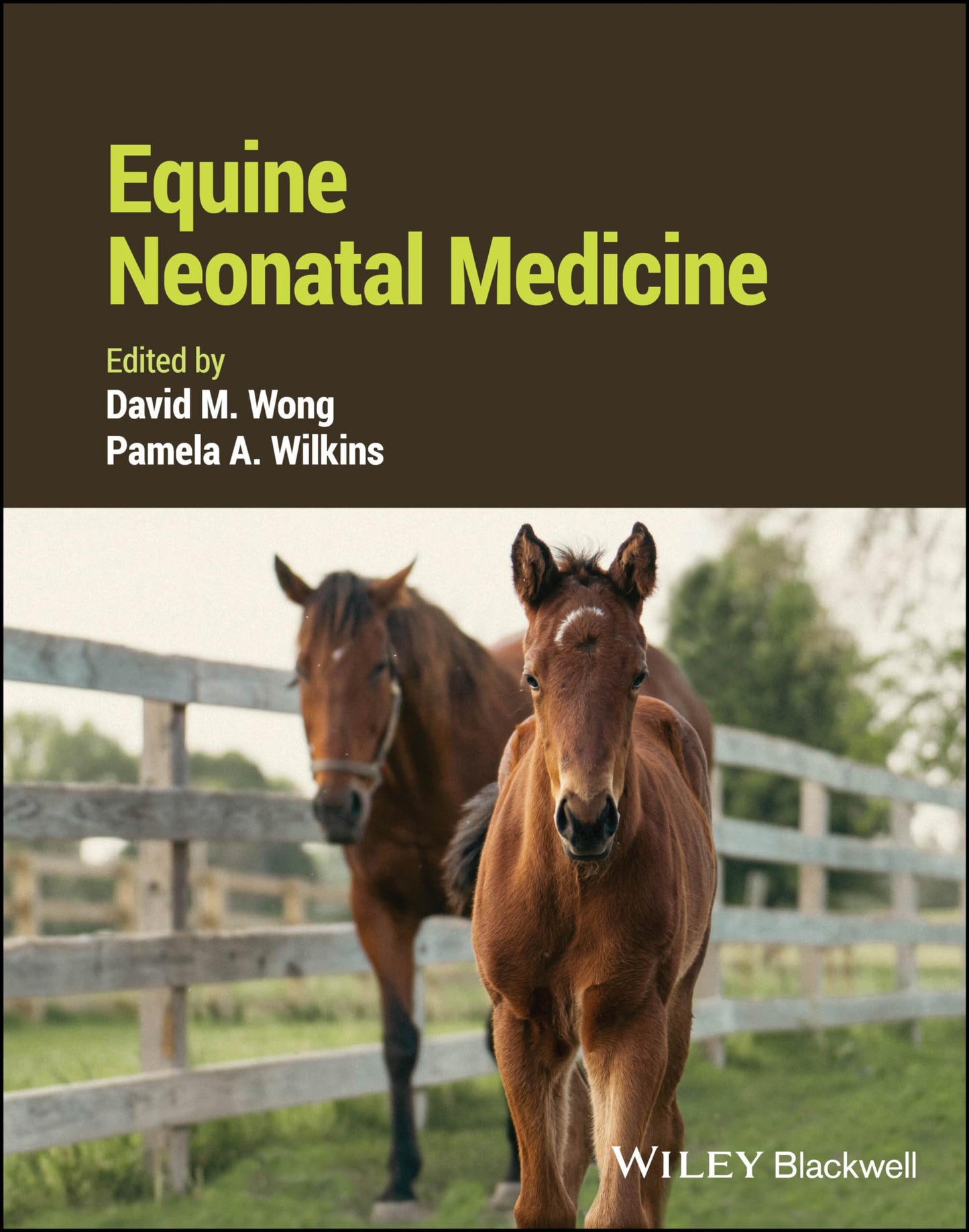 Equine Neonatal Medicine [Hardcover] Wong, David M. and Wilkins, Pamela A.
