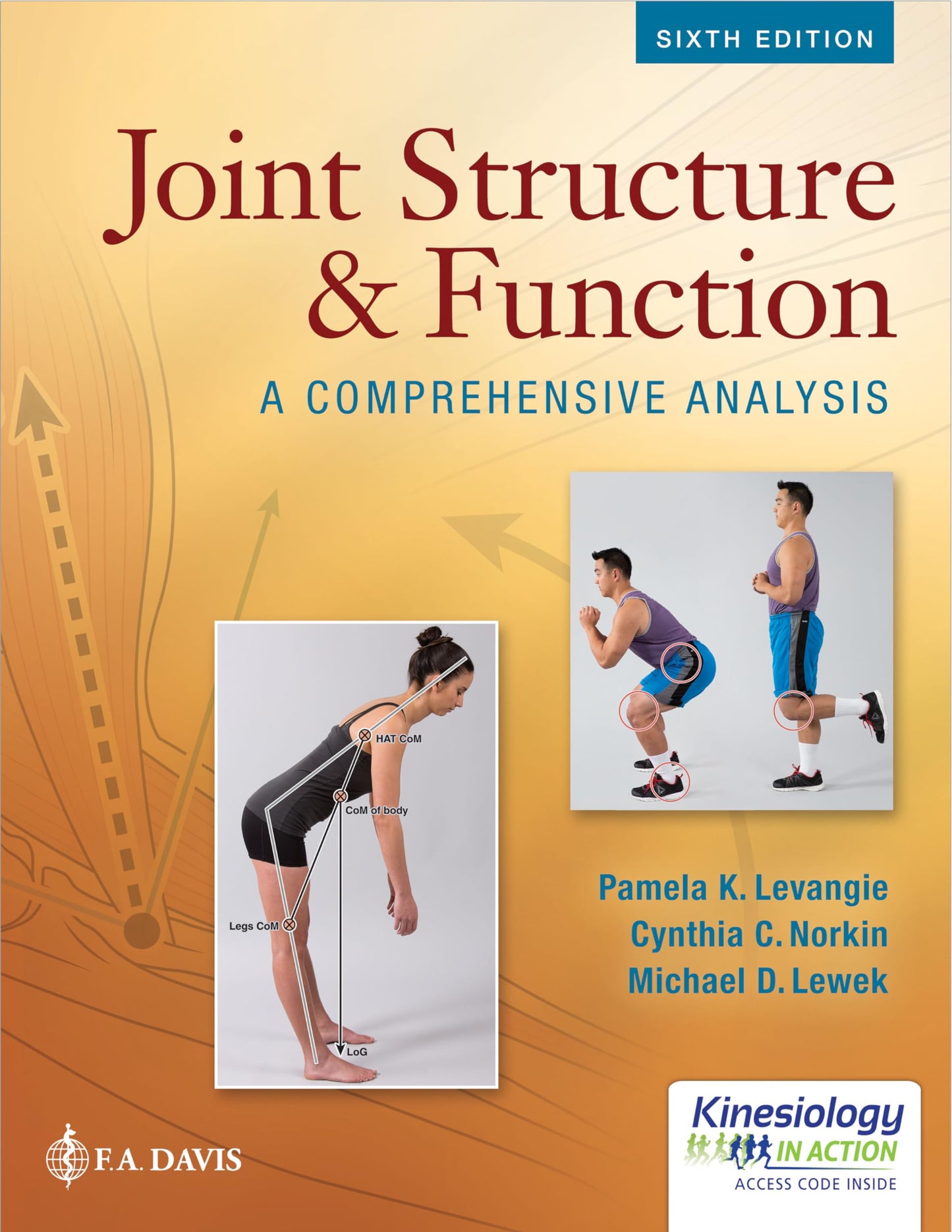 Joint Structure and Function: A Comprehensive Analysis Pamela K. Levangie PT DPT DSc FAPTA