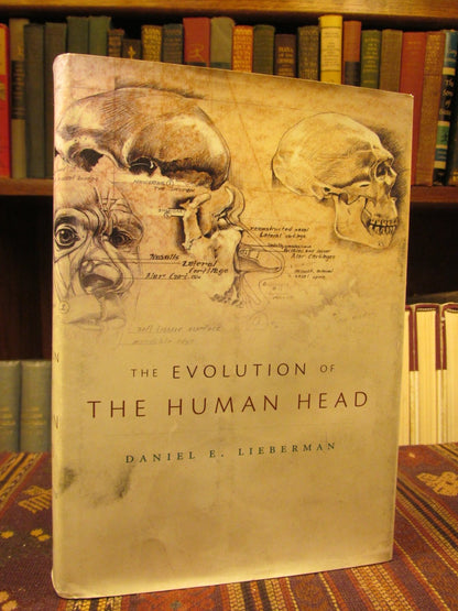 The Evolution of the Human Head [Hardcover] Lieberman, Daniel E.