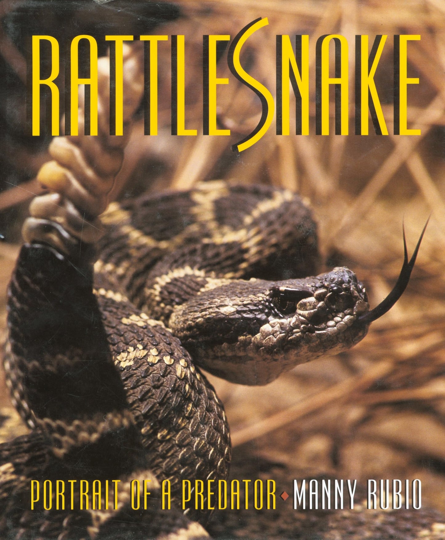 Rattlesnake - Portrait of a Predator [Hardcover] Manny Rubio