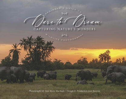 Dare to Dream: Capturing Nature's Wonders [Hardcover] Machado, Mory and Barcita, Jose