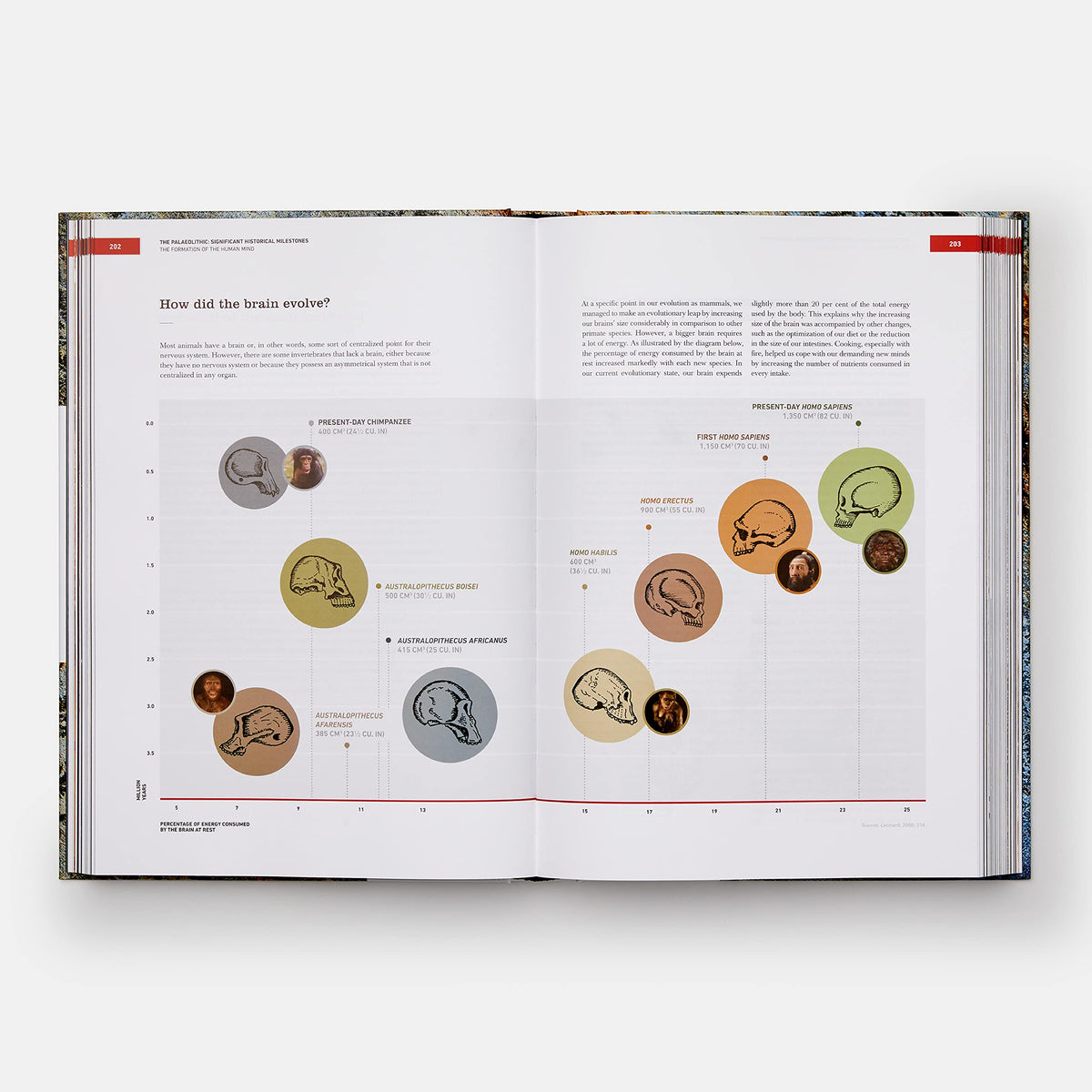 The Origins of Cooking: Palaeolithic and Neolithic Cooking (Hardcover) — additional view