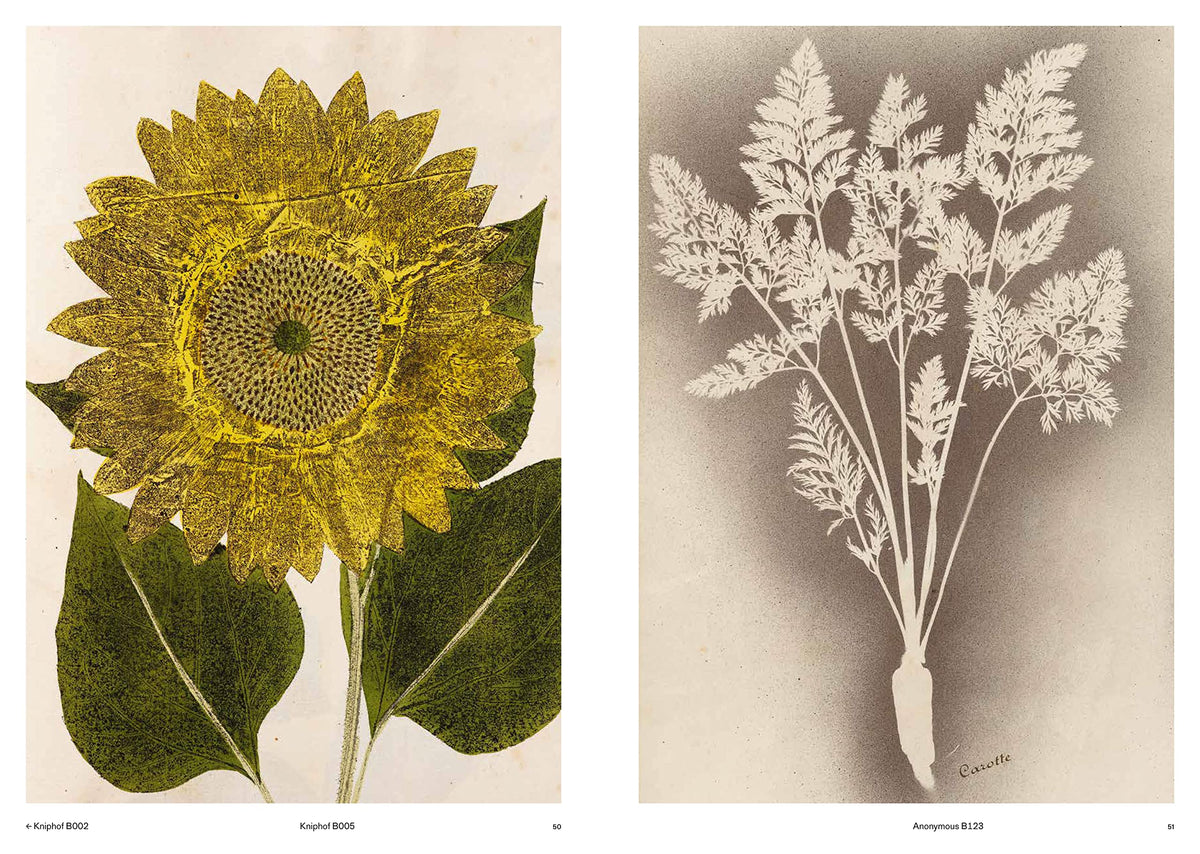 Capturing Nature: 150 Years of Nature Printing (Hardcover) — additional view