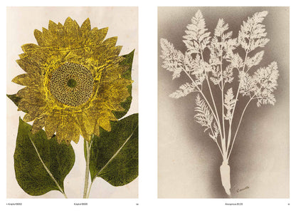 Capturing Nature: 150 Years of Nature Printing (Hardcover) — additional view