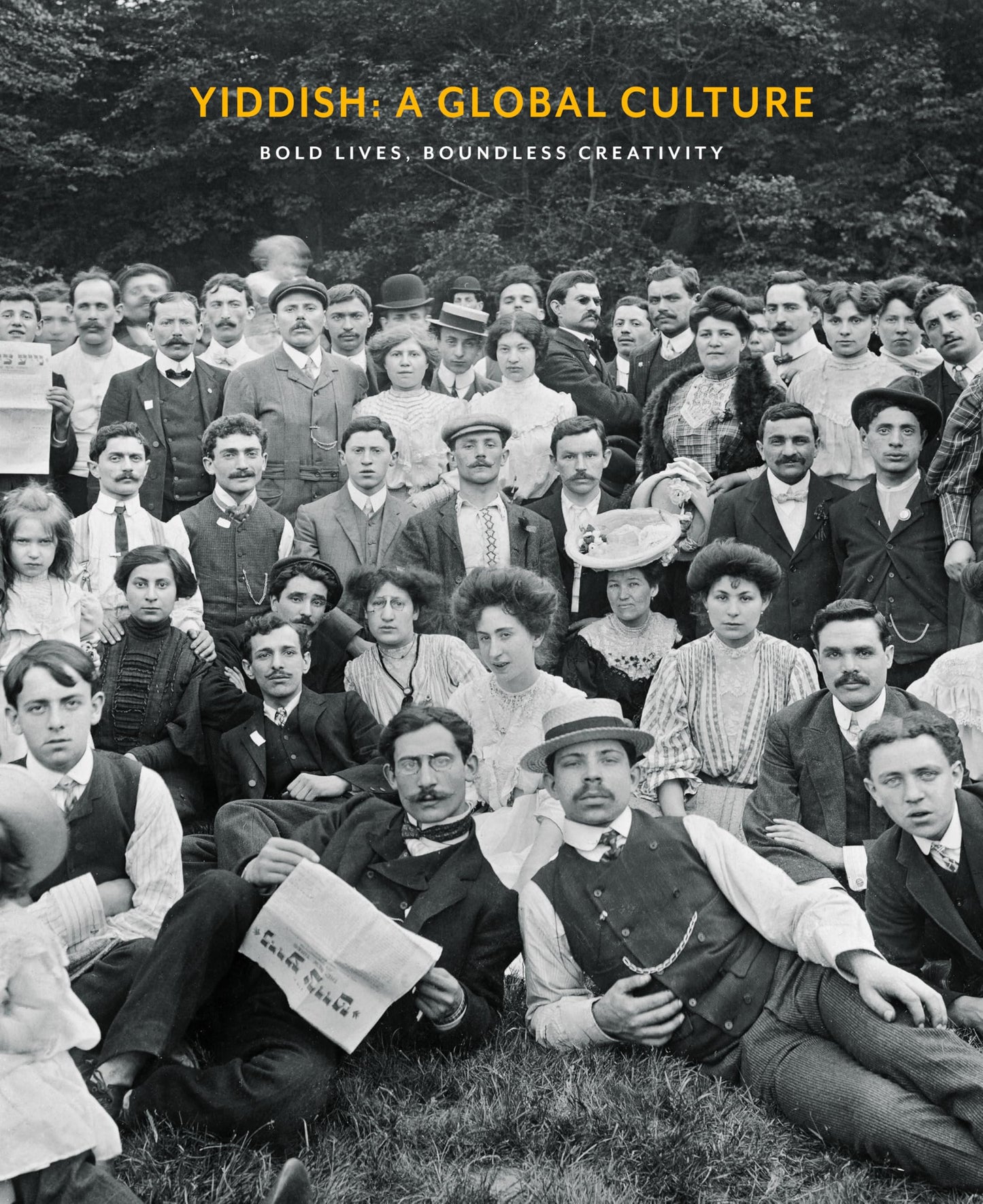 Yiddish: A Global Culture: Bold Lives, Boundless Creativity [Hardcover] Mazower, David
