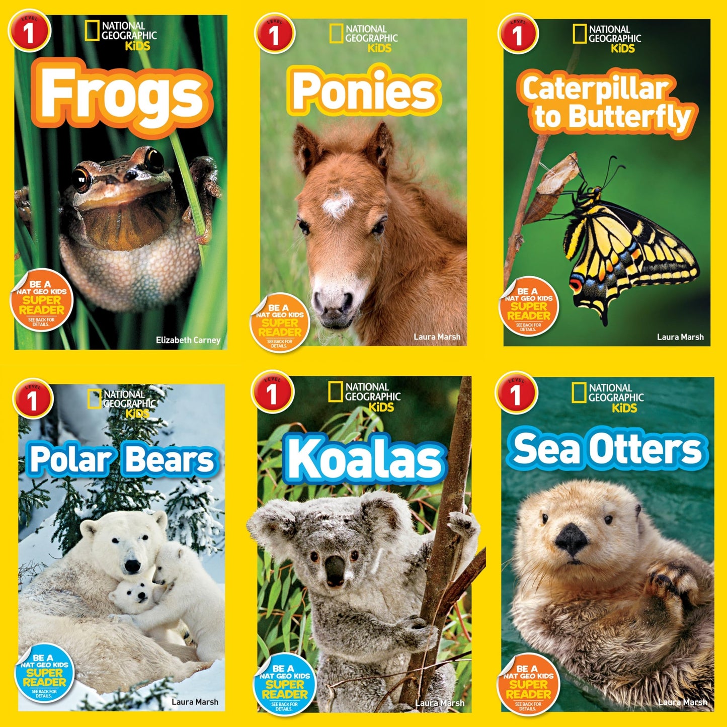 National Geographic Readers Level 1 : Caterpillar to Butterfly, Ponies, Frogs, Koalas, Sea Otters, Polar Bears - 6 Book Set [Paperback] Shira Evans and Susan Neuman