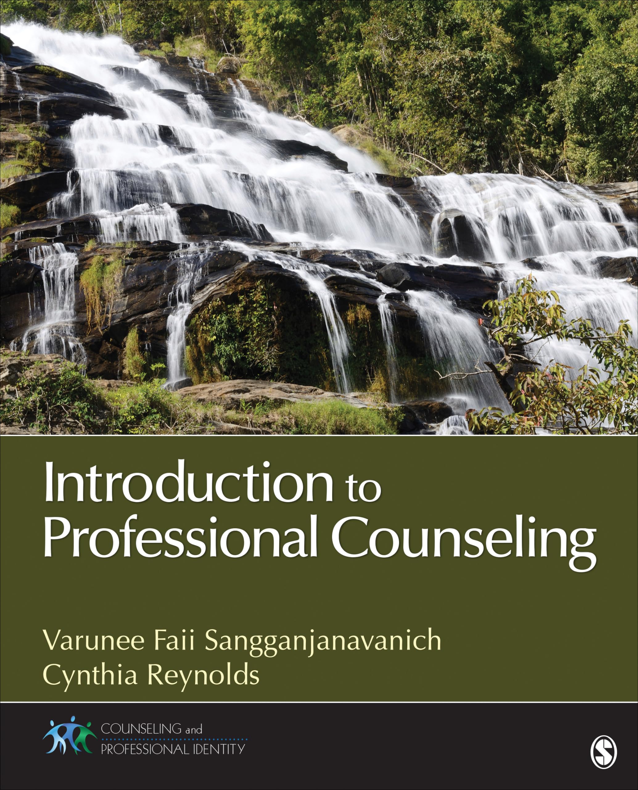 Introduction to Professional Counseling (Counseling and Professional I ...