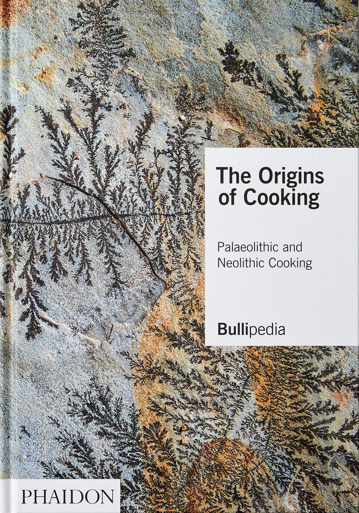 The Origins of Cooking: Palaeolithic and Neolithic Cooking (Hardcover)