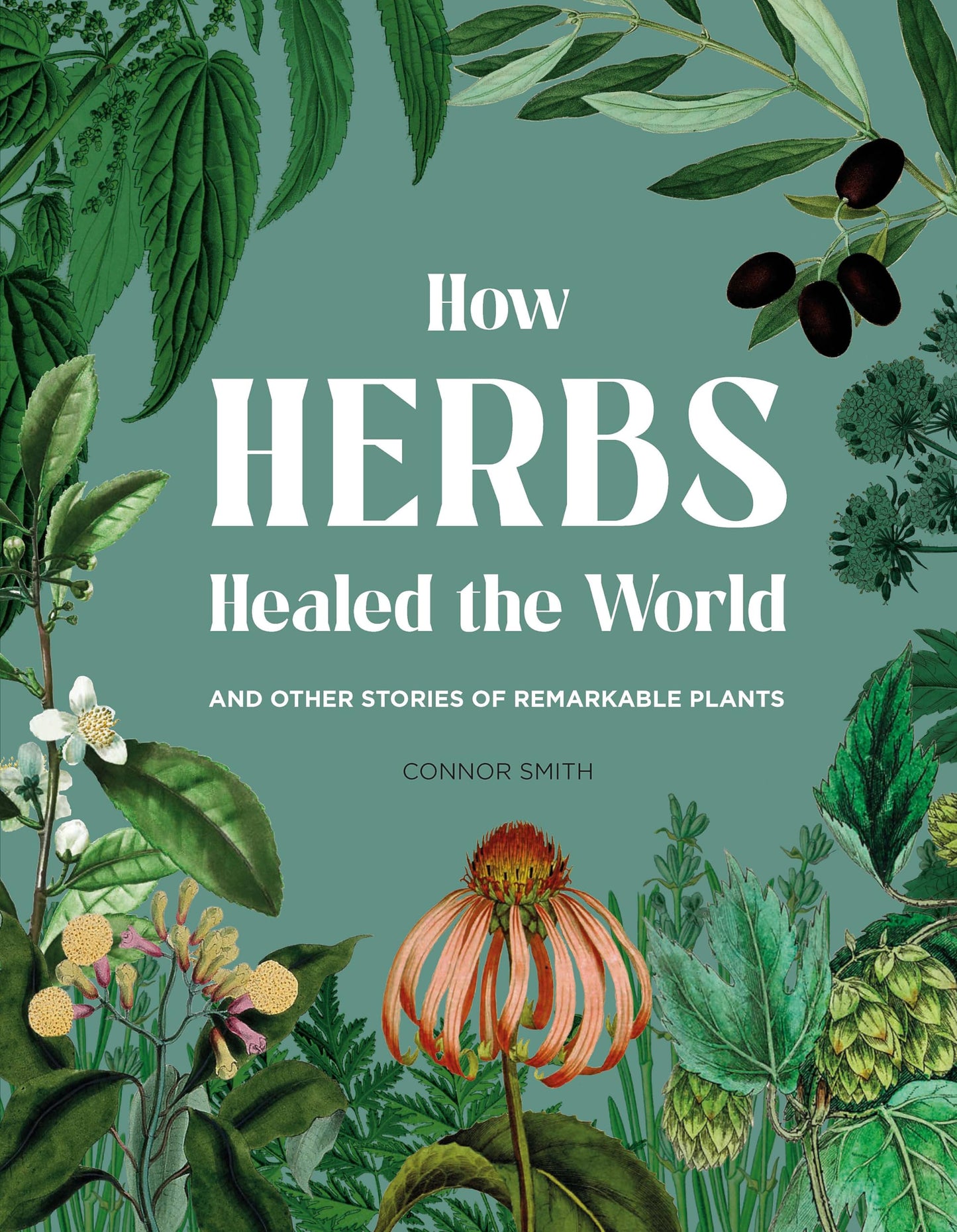 How Herbs Healed the World [Hardcover] Smith, Connor